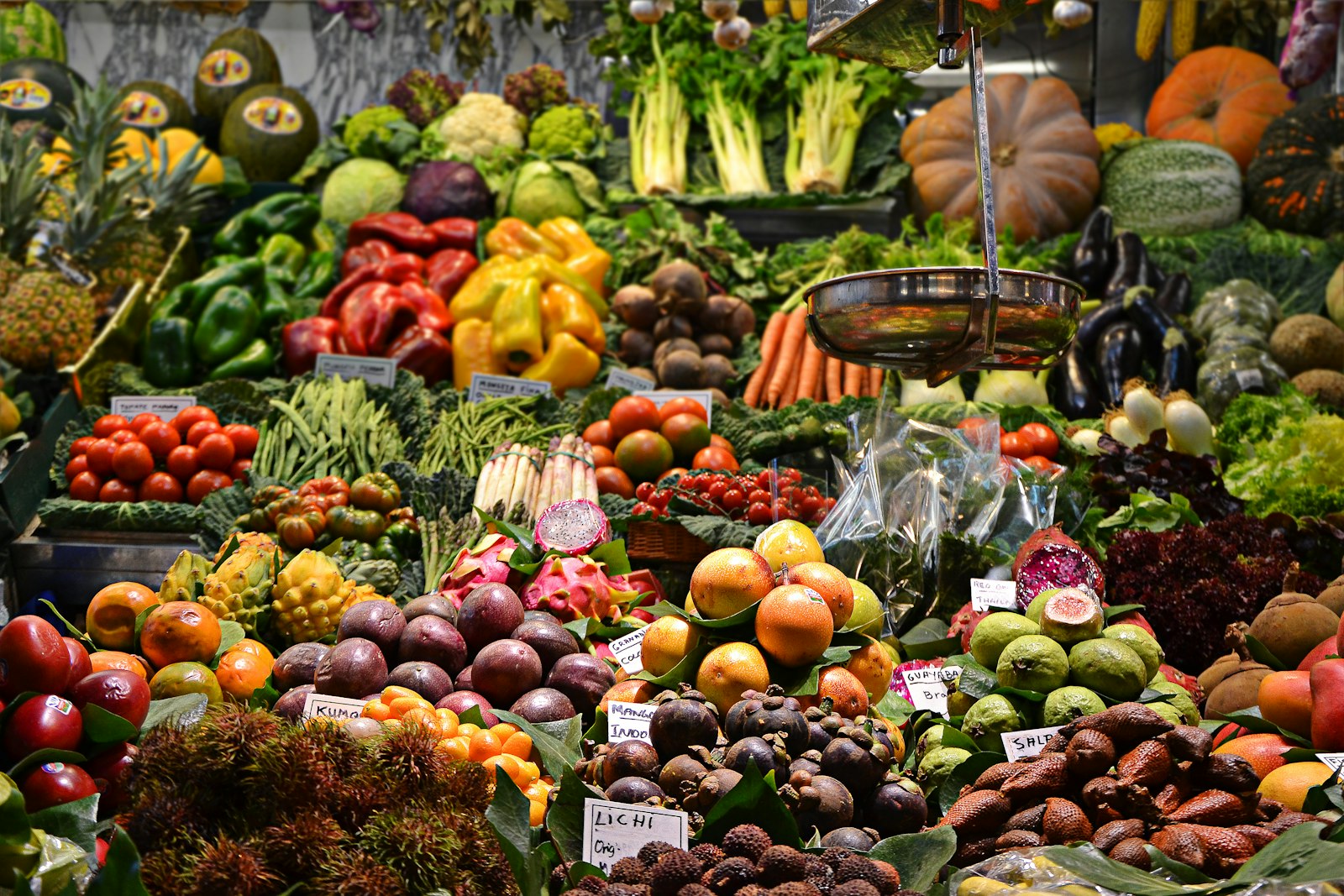 Distribution agroalimentaire pour les professionnels au Maroc